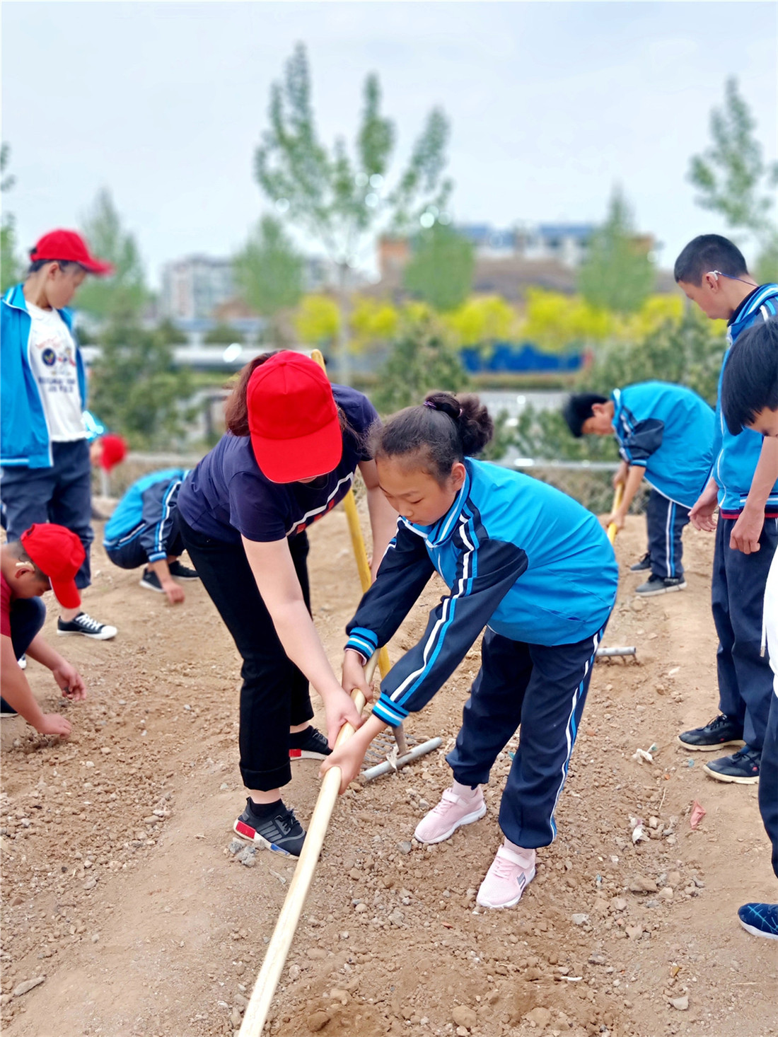 家長助力“開心農(nóng)場”