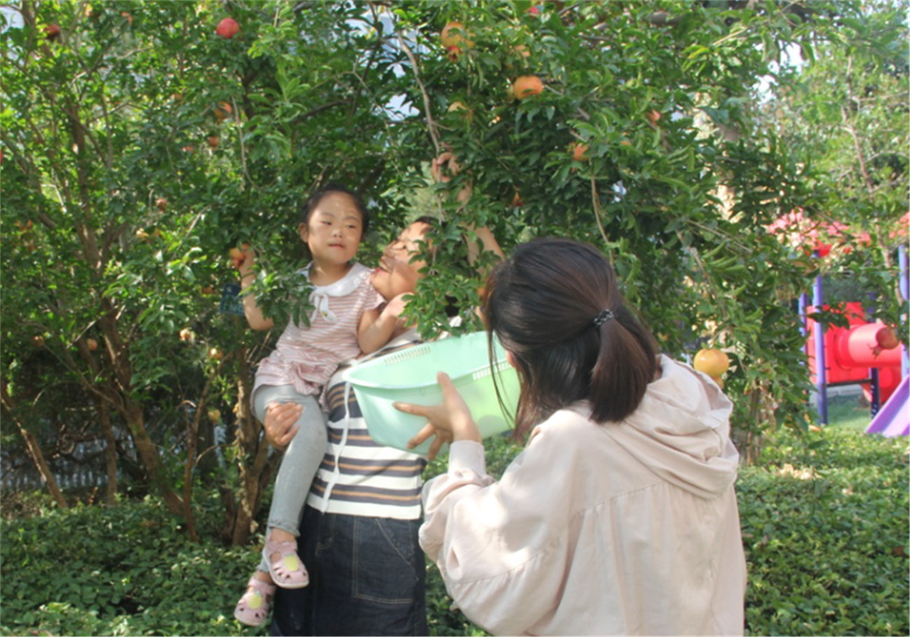 市特教中心開展“秋季采摘節(jié)”主題活動(dòng)