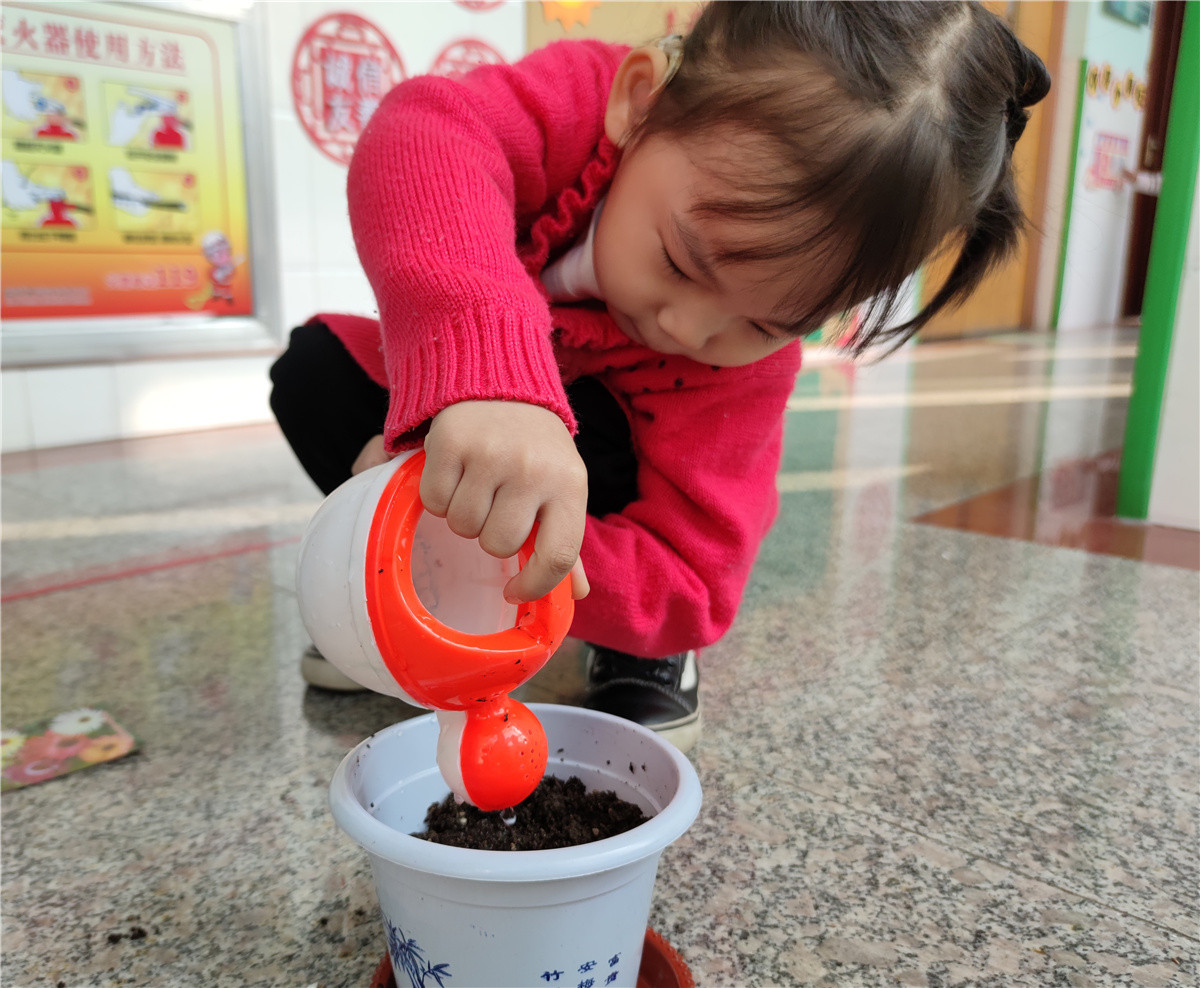 市特教中心開展植樹節(jié)主題活動