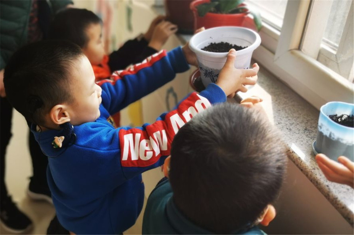 市特教中心開展植樹節(jié)主題活動