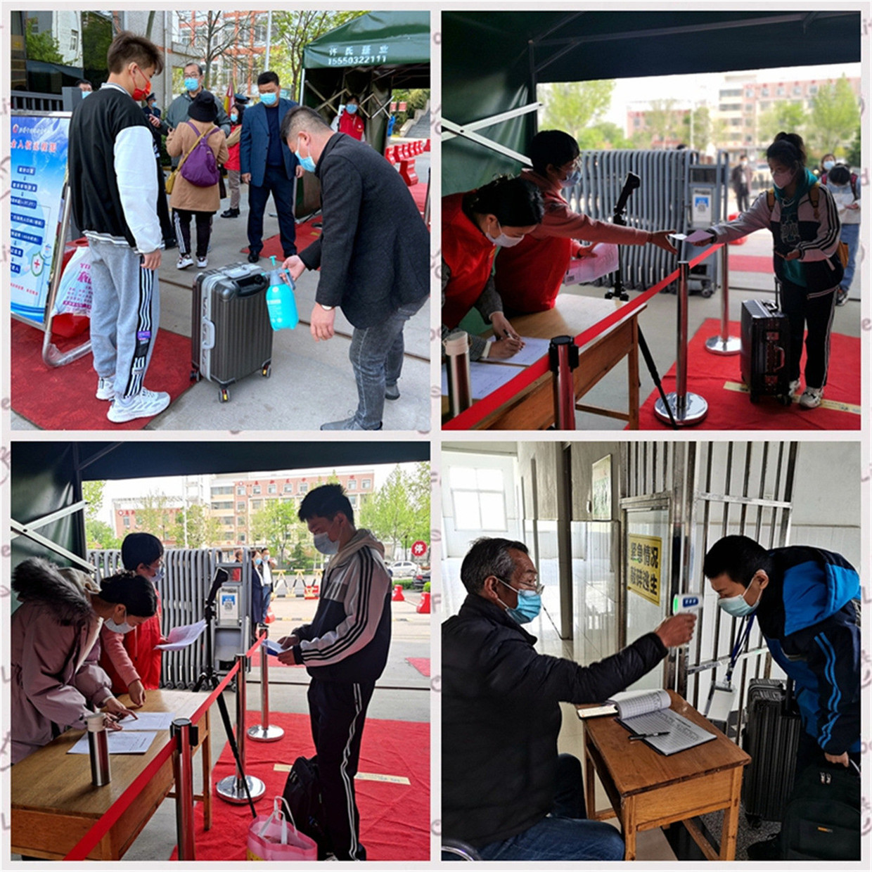 春暖花開時(shí) 喜迎學(xué)子歸