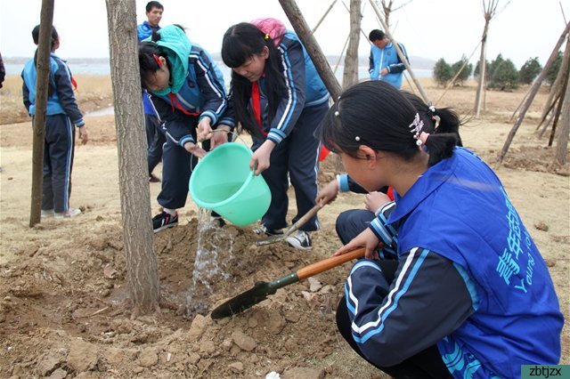 清明祭英烈，志愿護(hù)綠行